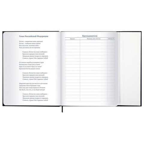 Дневник 1-11 класс 48 л., твердый, BRAUBERG, матовая ламинация, магнитный клапан, закладка-ляссе, с подсказом, "Дракон", 107245 - фото 10