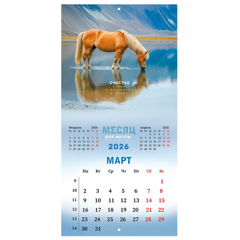 Календарь настенный перекидной 2026 г., BRAUBERG, 12 листов, 28,5х28,5 см, "Благородные лошади", 116932 - фото 6