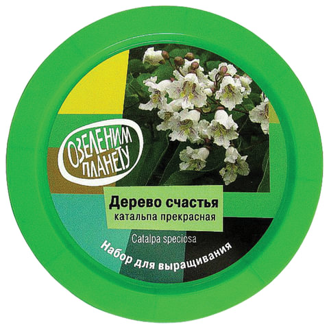Набор для выращивания растений ВЫРАСТИ ДЕРЕВО! "Дерево счастья Катальпа" (банка, грунт, семена), zk-068 - фото 2