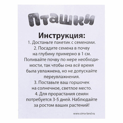 Набор для опытов "Пташки, выращиваем травку", фиолетовый горшочек, 5155390 - фото 5