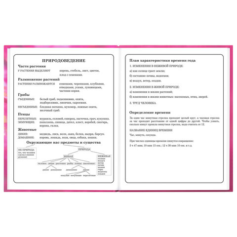 Дневник 1-4 класс 48 л., твердый, ЮНЛАНДИЯ, выборочный лак, с подсказом, "Панда", 107597 - фото 16