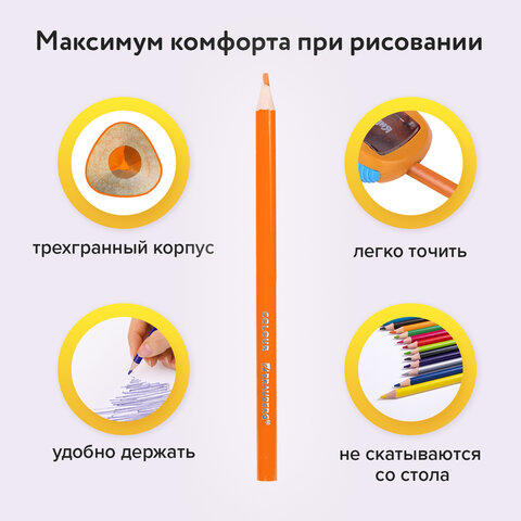 Карандаши цветные BRAUBERG PREMIUM, 36 цветов, трехгранные, грифель 3 мм, 181664 - фото 14