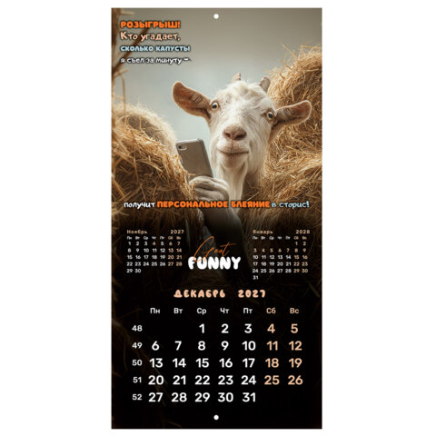 Календарь настенный перекидной 2027 г., BRAUBERG, 12 листов, 28,5х57 см, "Goat calendar", 118417 - фото 16