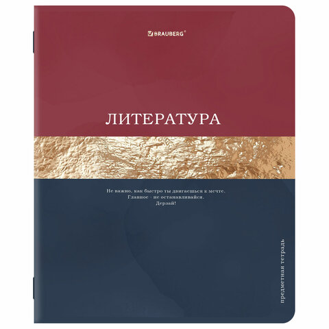 Тетради предметные, КОМПЛЕКТ 12 ПРЕДМЕТОВ, 48 л., матовая ламинация, фольга, BRAUBERG "GOLDY", 405178 - фото 4