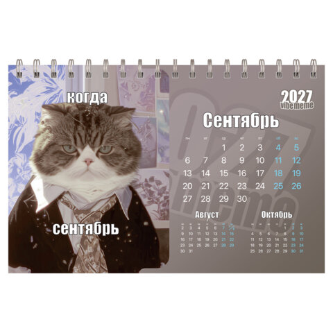 Календарь-домик настольный на гребне, 2027 г., BRAUBERG, 160х110 мм, 6 листов, "Vibe meme", 118451 - фото 11