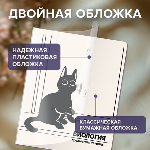 Тетради предметные, КОМПЛЕКТ 12 ПРЕДМЕТОВ 48 л., пластиковая обложка, BRAUBERG "КОТ-НЕПОСЕДА", 405542 - фото 19