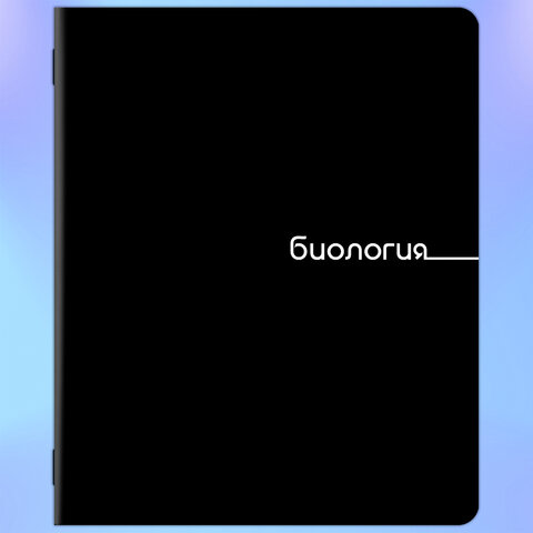 Тетради предметные, КОМПЛЕКТ 12 ПРЕДМЕТОВ, 48 л., обложка картон, BRAUBERG "BLACK", 405164 - фото 8