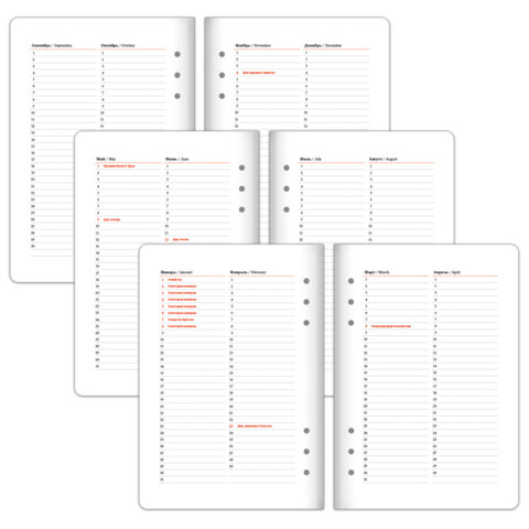 Ежедневник-органайзер недатированный B5 167х240 мм, BRAUBERG "Nova", под кожу, 160 л., голубой, 116201 - фото 9