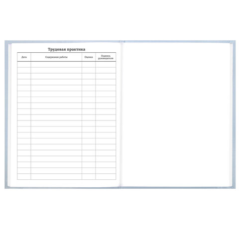 Дневник 5-11 класс 48 л., твердый, BRAUBERG, глянцевая ламинация, с подсказом, "Пушистый мечтатель", 107609 - фото 16