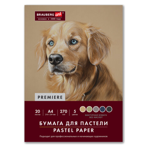 Бумага для пастели ФАКТУРНАЯ, А4, в папке, 20 листов, 5 цветов, 270 г/м2, BRAUBERG ART, 117755 - фото 1