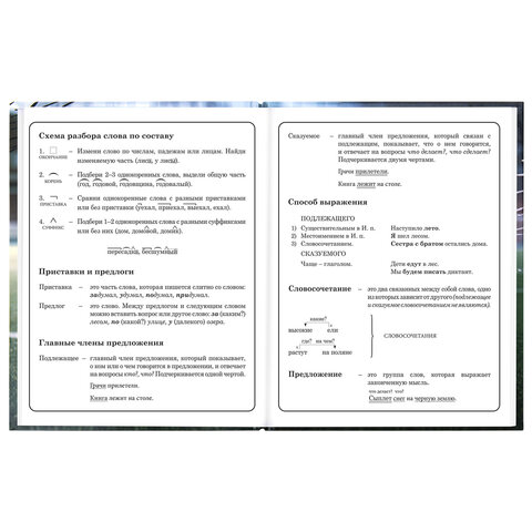 Дневник 1-4 класс 48 л., твердый, ЮНЛАНДИЯ, глянцевая ламинация, с подсказом, "Футбол", 107583 - фото 11