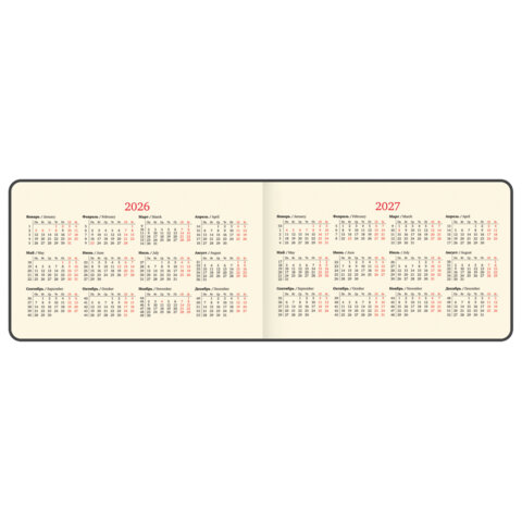 Еженедельник датированный 2026 МАЛЫЙ ФОРМАТ 105х160 мм, А6, BRAUBERG "Imprint", тиснение, черный, 117209 - фото 5