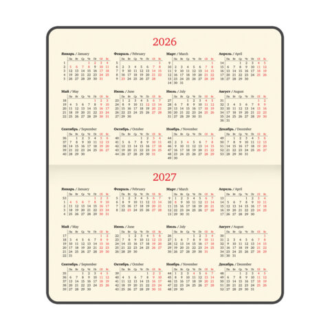 Еженедельник датированный 2026 МАЛЫЙ ФОРМАТ 95х155 мм, А6, BRAUBERG "Augustus", под кожу, голубой, 117185 - фото 7