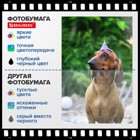 Фотобумага глянцевая, А4, 160 г/м2, односторонняя, 100 листов, ПАКЕТ, BRAUBERG ORIGINAL, 364415 - фото 6