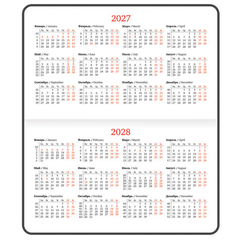 Еженедельник датированный 2027, МАЛЫЙ ФОРМАТ, 95х155 мм, А6, BRAUBERG "Vista", под кожу, "Black coal", 118183 - фото 8