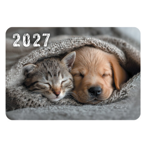 Календарь карманный на 2027 г, BRAUBERG, 64х93 мм, АССОРТИ, 20 дизайнов (60 штук), 118489 - фото 11