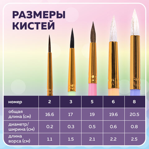 Кисти НАБОР 5 шт. (БЕЛКА круглая № 3; КОЗА круглые № 6, 8; ПОНИ круглые № 2, 5), BRAUBERG KIDS, 201080 - фото 14