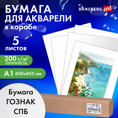 Бумага для акварели А1 (600х850 мм), КОМПЛЕКТ 5 листов, среднее зерно, 200 г/м2, ГОЗНАК, BRAUBERG ART CLASSIC, 114488 - фото 4