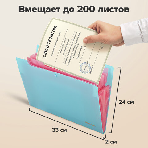 Папка-органайзер на кнопке 12 отделений, BRAUBERG "Extra", А4, голубая с розовым, 271932 - фото 10