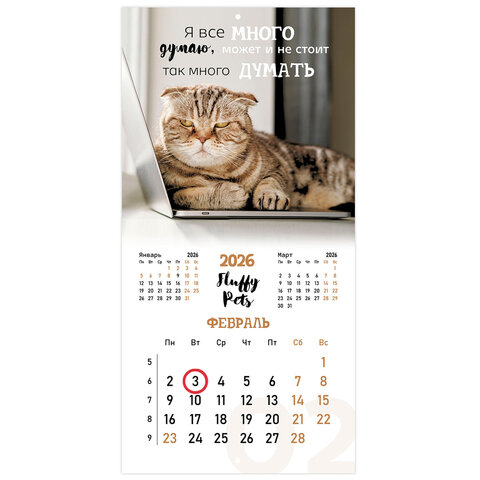 Календарь настенный перекидной 2026 г., BRAUBERG, 12 листов, 28,5х28,5 см, "Милые котики", 116929 - фото 4