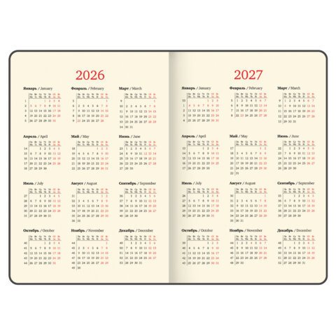 Еженедельник датированный 2026, БОЛЬШОЙ ФОРМАТ 210х297 мм, А4, BRAUBERG "Imperial", под кожу, коричневый, 117156 - фото 7