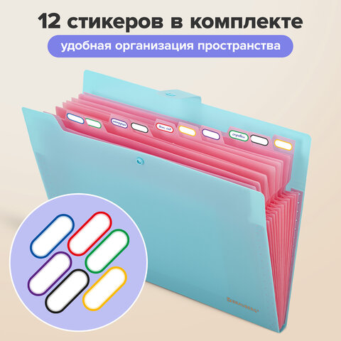 Папка-органайзер на кнопке 12 отделений, BRAUBERG "Extra", А4, голубая с розовым, 271932 - фото 11