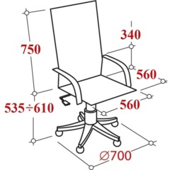 Кресло BN_Dp_EChair-585 TR рецикл.кожа черный, хром - фото 5