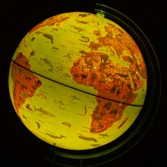 Глобус интерактивный зоогеографич с подсветк. и VR очками,250мм,INT12500306 - фото 2