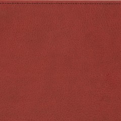 Ежедневник недатированный А5 145 х 205 мм Leader бордовый 272 стр. 3-129/07 - фото 5