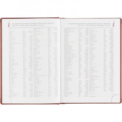 Ежедневник недатированный А5 145 х 205 мм Leader бордовый 272 стр. 3-129/07 - фото 10