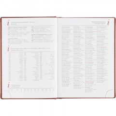 Ежедневник недатированный А5 145 х 205 мм Leader бордовый 272 стр. 3-129/07 - фото 12