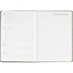 Ежедневник недатированный А4 210 х 302мм Sidney Nebraska 272 стр.3-539/05 - фото 16