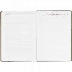 Ежедневник недатированный А4 210 х 302мм Sidney Nebraska 272 стр.3-539/05 - фото 18