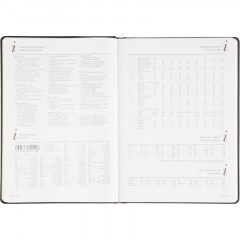 Ежедневник недатированный А4 210 х 300 мм Velvet черный 272 стр. 3-116/04 - фото 12