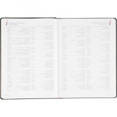 Ежедневник недатированный А4 210 х 300 мм Velvet черный 272 стр. 3-116/04 - фото 13