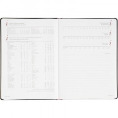 Ежедневник недатированный А4 210 х 300 мм Velvet черный 272 стр. 3-116/04 - фото 14