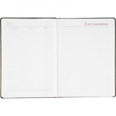 Ежедневник недатированный А4 210 х 300 мм Velvet черный 272 стр. 3-116/04 - фото 15