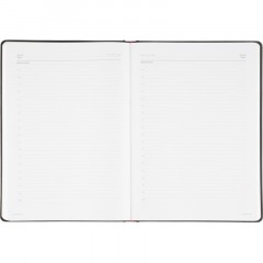 Ежедневник недатированный А4 210 х 300 мм Velvet черный 272 стр. 3-116/04 - фото 16