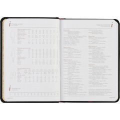 Ежедневник недатированный А6+ 112 х 155 мм Velvet черный 272 стр. 3-495/04 - фото 13