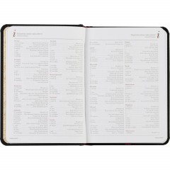 Ежедневник недатированный А6+ 112 х 155 мм Velvet черный 272 стр. 3-495/04 - фото 14