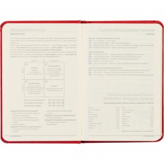 Ежедневник недатированный А6 87 х 131 мм Megapolis красн 200 стр. 3-283/04 - фото 11