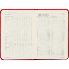 Ежедневник недатированный А6 87 х 131 мм Megapolis красн 200 стр. 3-283/04 - фото 13