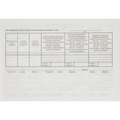 Бланк Препровод. вед-ть денеж. наличн. (кн.100л.) офсет т/у 6 Бланк Препровод. вед-ть денеж. наличн. (кн.100л.) офсет т/у 6 - фото 2