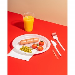 Набор одноразовой посуды №2 КОМУС на 6 персон Набор одноразовой посуды №2 КОМУС на 6 персон - фото 6