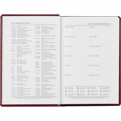 Ежедневник недатированный бордо, А6,100x150, 320стр, Agenda - фото 11