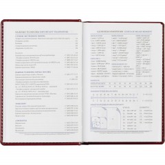 Ежедневник недатированный бордо, А6,100x150, 320стр, Agenda - фото 14