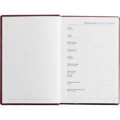 Ежедневник недатированный бордо,А5, 148x218, 352стр, Agenda - фото 10