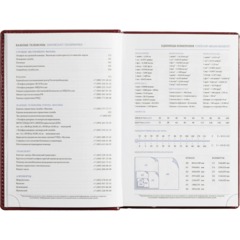 Ежедневник недатированный бордо,А5, 148x218, 352стр, Agenda - фото 14