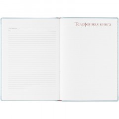 Ежедневник недатированный А5+, 136л, Velvet зефирный голубой 3-115/35 Ежедневник недатированный А5+, 136л, Velvet зефирный голубой 3-115/35 - фото 19