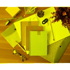 Бизнес-тетрадь А4,96л,точка,греб,обл.глянц.лам. Attache Fleur Мята - фото 9